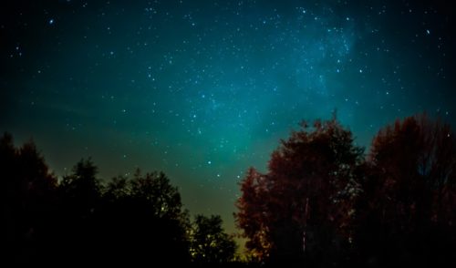 Artikelbild zu Artikel August: Nacht- und Sternenwanderung um Halle