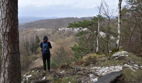 Artikelbild zu Artikel November: Wanderung Karstlandschaft Südharz